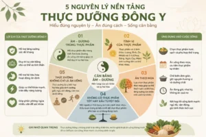 Infographic minh họa 5 nguyên lý nền tảng của thực dưỡng Đông y gồm Âm Dương, Tính vị thực phẩm, ăn theo mùa và chế độ ăn cân bằng.