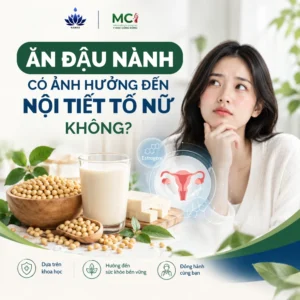 Việc Ăn Đậu Nành Có Ảnh Hưởng Đến Nội Tiết Tố Nữ Không Giải Mã 4 Lầm Tưởng Phổ Biến