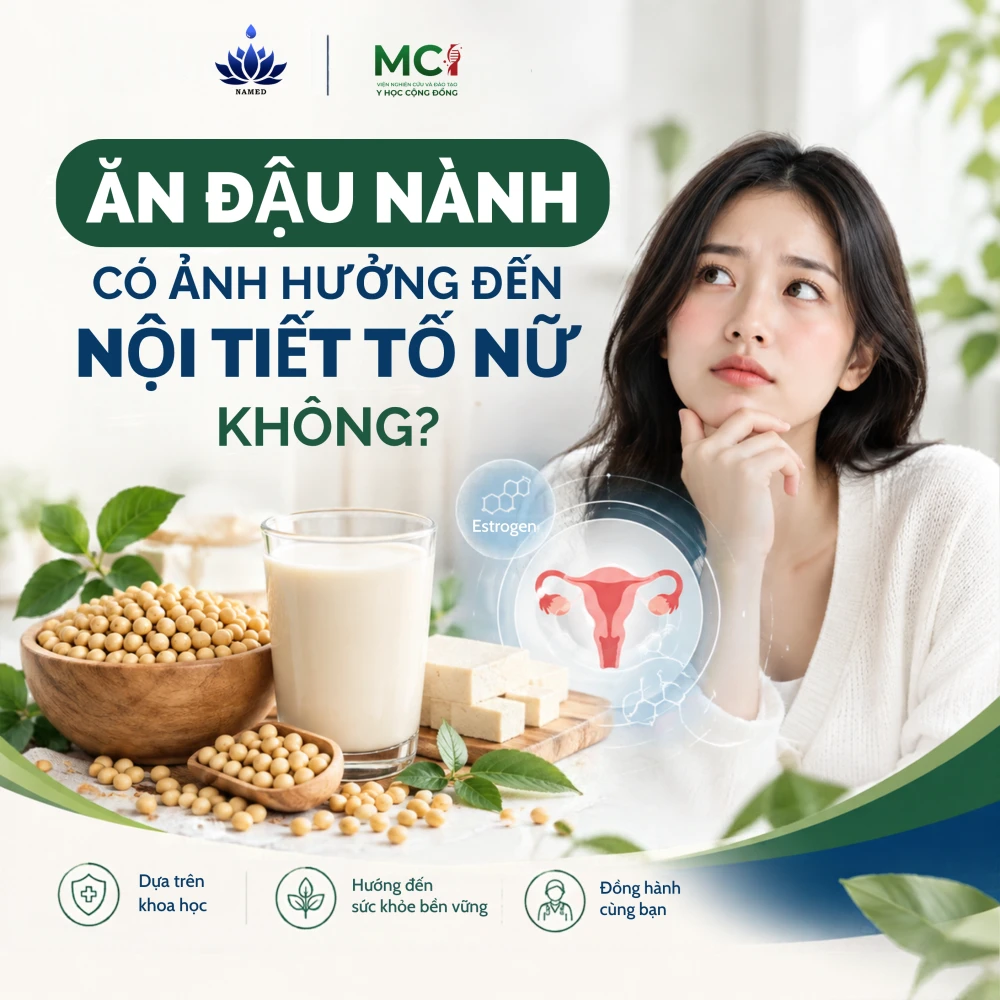 Việc Ăn Đậu Nành Có Ảnh Hưởng Đến Nội Tiết Tố Nữ Không? Giải Mã 4 Lầm Tưởng Phổ Biến